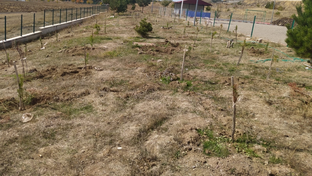 FATİH SULTAN MEHMET İLK-ORTAOKULUNDA 100 FİDAN TOPRAKLA BULUŞTU